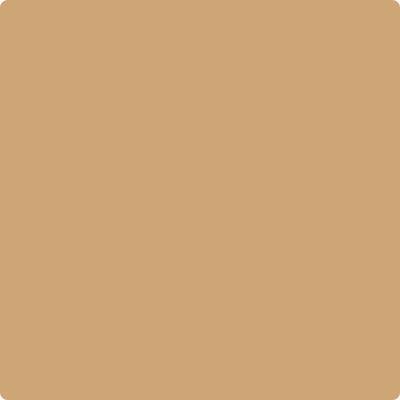 Benjamin Moore's Paint Color CC-274 Ginger Root avaiable at Standard Paint & Flooring