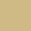 Benjamin Moore's Paint Color CC-300 Sombrero avaiable at Standard Paint & Flooring