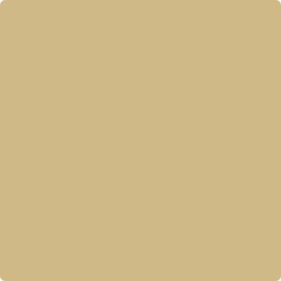 Benjamin Moore's Paint Color CC-300 Sombrero avaiable at Standard Paint & Flooring