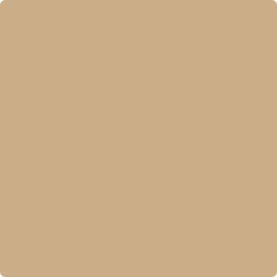 Benjamin Moore's Paint Color CC-304 Sisal avaiable at Standard Paint & Flooring