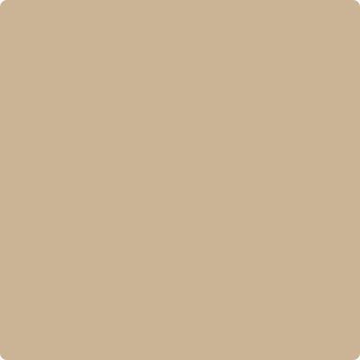 Benjamin Moore's Paint Color CC-338 Bluffs avaiable at Standard Paint & Flooring