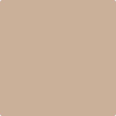 Benjamin Moore's Paint Color CC-366 Nubuck avaiable at Standard Paint & Flooring