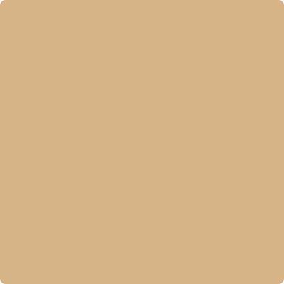 Benjamin Moore's Paint Color CC-410 Boardwalk avaiable at Standard Paint & Flooring