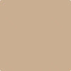 Benjamin Moore's Paint Color CC-488 Biscotti avaiable at Standard Paint & Flooring