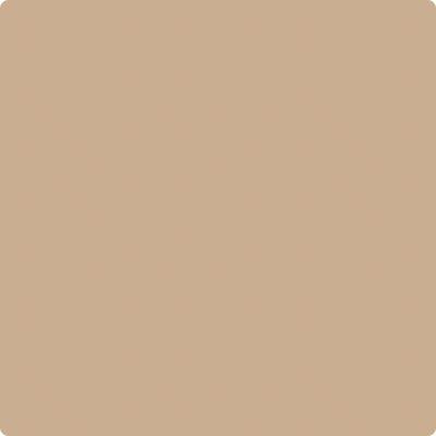 Benjamin Moore's Paint Color CC-488 Biscotti avaiable at Standard Paint & Flooring