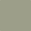 Benjamin Moore's Paint Color CC-560 Raintree Green avaiable at Standard Paint & Flooring