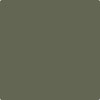 Benjamin Moore's Paint Color CC-570 Forest Floor avaiable at Standard Paint & Flooring