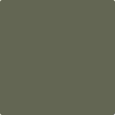 Benjamin Moore's Paint Color CC-570 Forest Floor avaiable at Standard Paint & Flooring