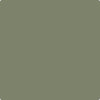 Benjamin Moore's Paint Color CC-600 Mossy Oak avaiable at Standard Paint & Flooring