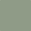 Benjamin Moore's Paint Color CC-620 High Park avaiable at Standard Paint & Flooring