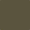 Benjamin Moore's Paint Color CC-662 Night Owl avaiable at Standard Paint & Flooring