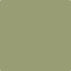 Benjamin Moore's Paint Color CC-668 Misted Fern avaiable at Standard Paint & Flooring
