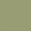 Benjamin Moore's Paint Color CC-668 Misted Fern avaiable at Standard Paint & Flooring