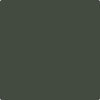 Benjamin Moore's Paint Color CC-692 Topsoil avaiable at Standard Paint & Flooring