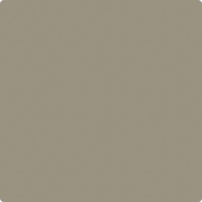 Benjamin Moore's Paint Color CC-696 Taiga avaiable at Standard Paint & Flooring