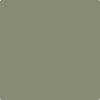 Benjamin Moore's Paint Color CC-722 Vineland avaiable at Standard Paint & Flooring