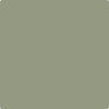 Benjamin Moore's Paint Color CC-724 Homestead avaiable at Standard Paint & Flooring
