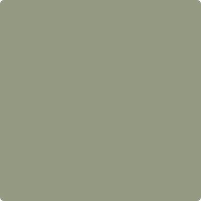 Benjamin Moore's Paint Color CC-724 Homestead avaiable at Standard Paint & Flooring