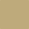 Benjamin Moore Paint Color CSP-1005 Golden Divan available at Standard Paint in Washington State.
