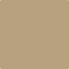 Benjamin Moore Paint Color CSP-1020 Trench Coat available at Standard Paint in Washington State.