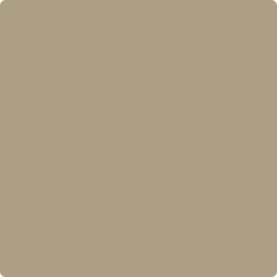Benjamin Moore Paint Color CSP-1040 Shiitake Mushroom available at Standard Paint in Washington State.