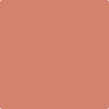 Benjamin Moore Paint Color CSP-1115 Tropical Fruit available at Standard Paint in Washington State.