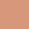 Benjamin Moore Paint Color CSP-1130 Tuscan Tile available at Standard Paint in Washington State.