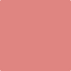 Benjamin Moore Paint Color CSP-1175 Pink Flamingo available at Standard Paint in Washington State.
