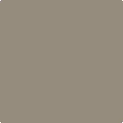 Benjamin Moore Paint Color CSP-205 Cathedral Gray available at Standard Paint in Washington State.