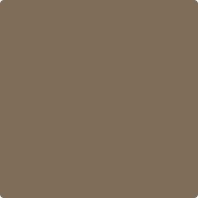 Benjamin Moore Paint Color CSP-265 Kentucky Birch available at Standard Paint in Washington State.