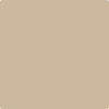 Benjamin Moore Paint Color CSP-280 Warm Sand available at Standard Paint in Washington State.