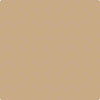 Benjamin Moore Paint Color CSP-285 Camel Hair available at Standard Paint in Washington State.