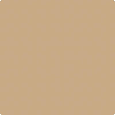 Benjamin Moore Paint Color CSP-285 Camel Hair available at Standard Paint in Washington State.