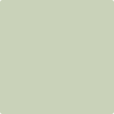 Benjamin Moore Paint Color CSP-790 Budding Green available at Standard Paint in Washington State.