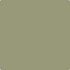 Benjamin Moore Paint Color CSP-825 Thayer Green available at Standard Paint in Washington State.