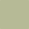 Benjamin Moore Paint Color CSP-835 Spring has Sprung available at Standard Paint in Washington State.