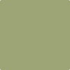 Benjamin Moore Paint Color CSP-840 Barefoot in the Grass available at Standard Paint in Washington State.