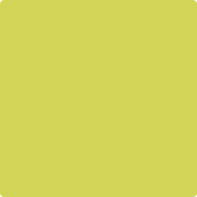Benjamin Moore Paint Color CSP-860 Granny Smith available at Standard Paint in Washington State.