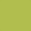 Benjamin Moore Paint Color CSP-865 Limeade available at Standard Paint in Washington State.