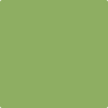 Benjamin Moore Paint Color CSP-870 Green Thumb available at Standard Paint in Washington State.