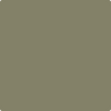 Benjamin Moore's Paint Color HC-112 Tate Olive available at Standard Paint & Flooring