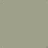 Benjamin Moore's Paint Color HC-113 Louisburg Green available at Standard Paint & Flooring