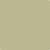 Benjamin Moore's Paint Color HC-115 Georgian Green available at Standard Paint & Flooring