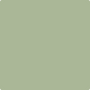 Benjamin Moore's Paint Color HC-118 Sherwood Green available at Standard Paint & Flooring