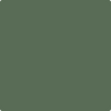 Benjamin Moore's Paint Color HC-121 Paele Green available at Standard Paint & Flooring