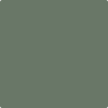 Benjamin Moore's Paint Color HC-125 Cushin Green available at Standard Paint & Flooring