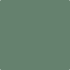 Benjamin Moore's Paint Color HC-130 Webster Green available at Standard Paint & Flooring