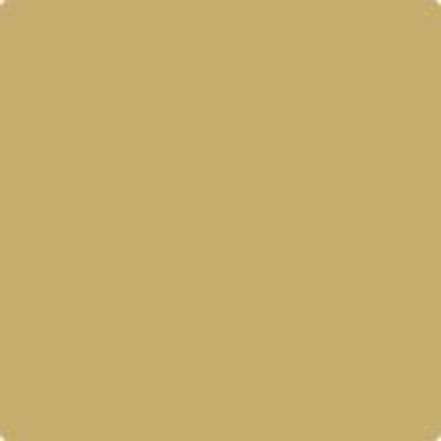 Benjamin Moore's Paint Color HC-14 Princeton Gold available at Standard Paint & Flooring