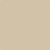 Benjamin Moore Color HC-45 Shaker Beige wet, dry color sample.